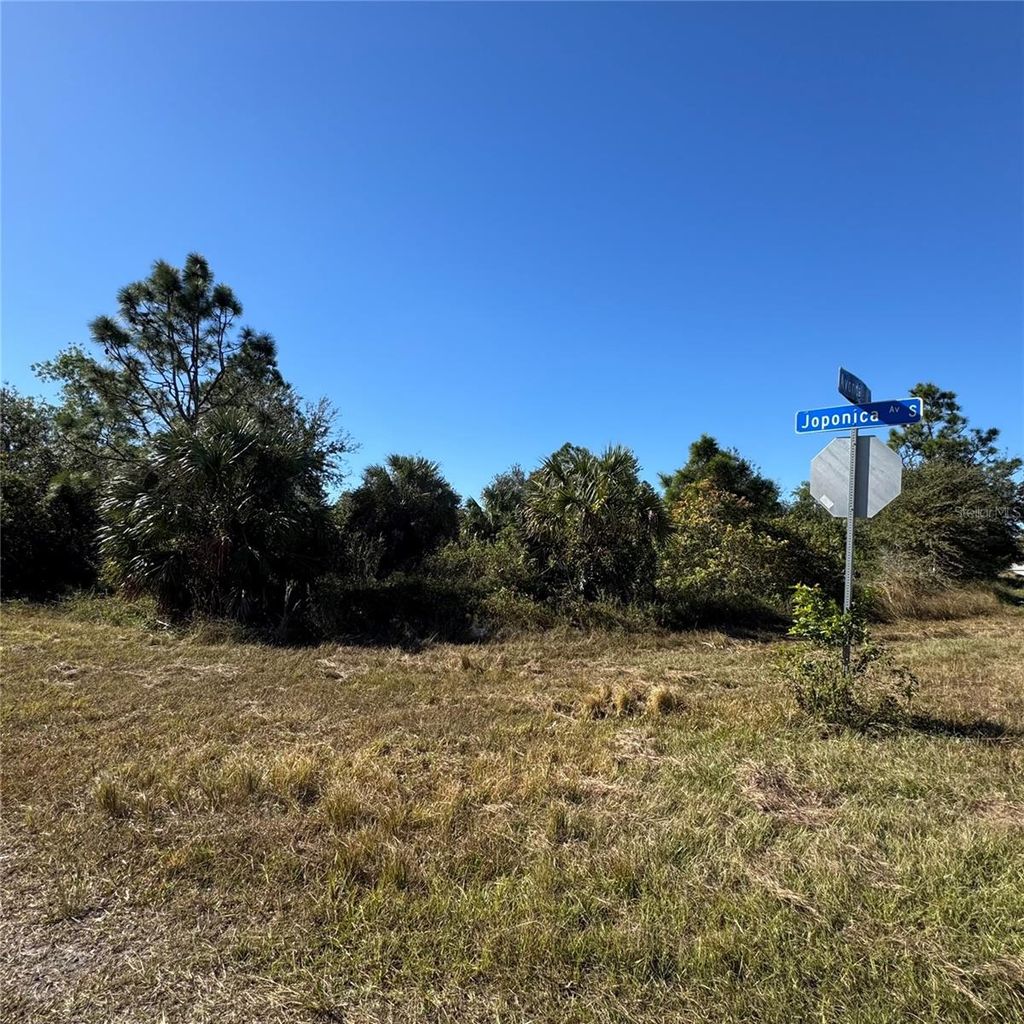 Photo of 912 Avondale Street E, Lehigh Acres, FL 33974 (MLS # A4631166)