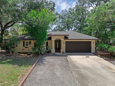 670 N SPARKMAN AVENUE ORANGE CITY FL 32763