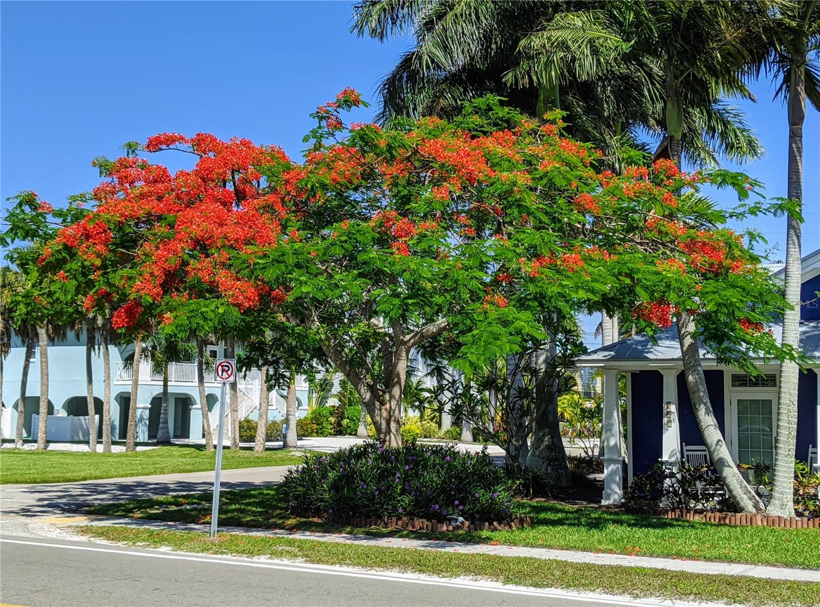 BAYSHORE VILLAGE I - Residential