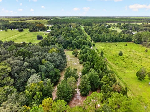 Tiny photo for 18875 NW Hwy 335, Williston, FL 32696 (MLS # OM732569)