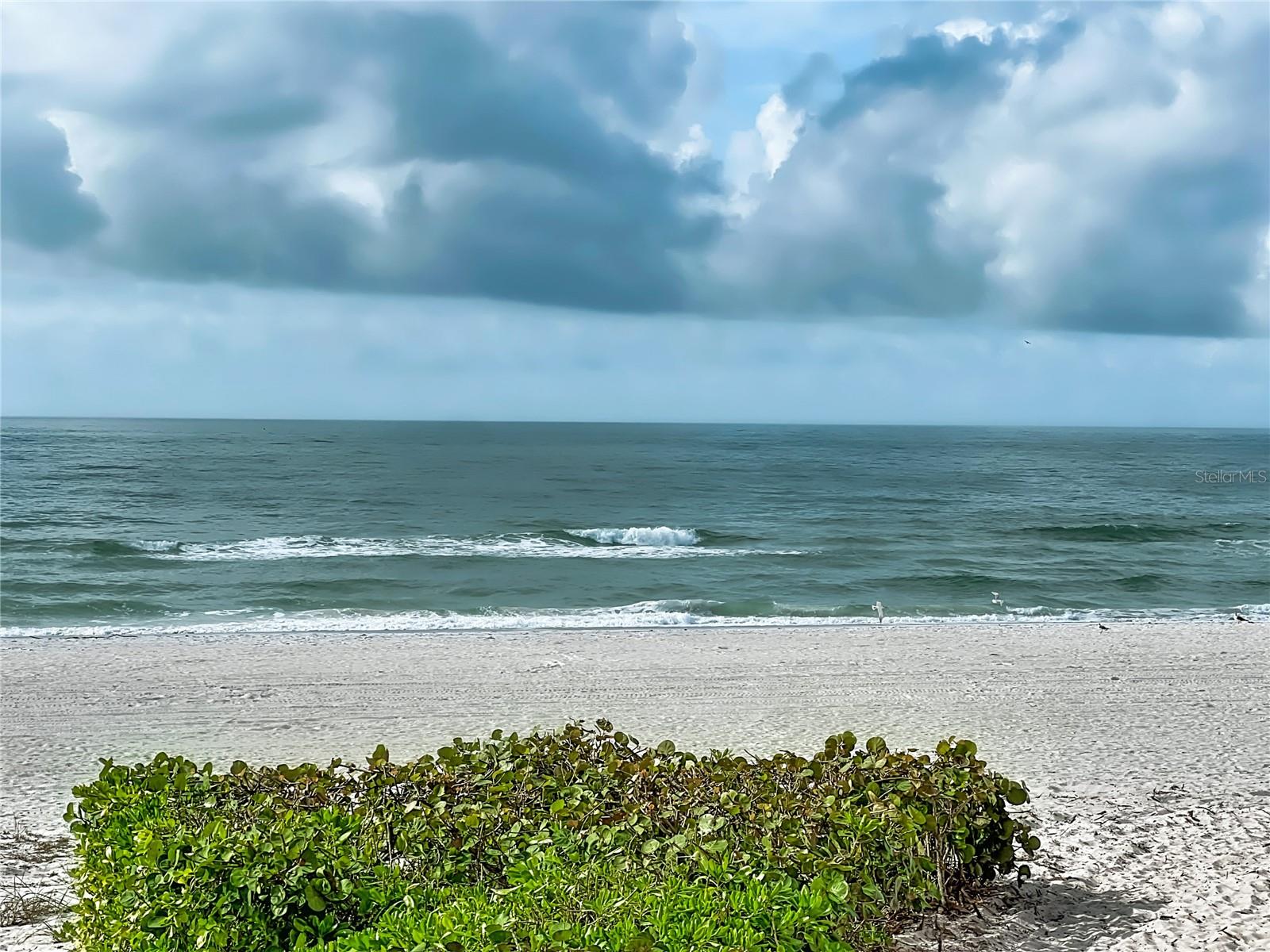 PLAYA ENCANTADA - Residential