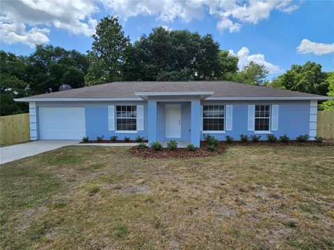 A home in BELLEVIEW