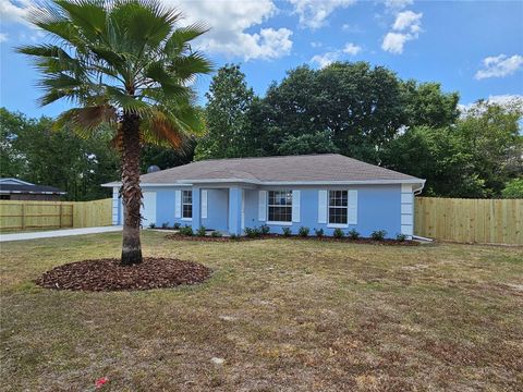 A home in BELLEVIEW