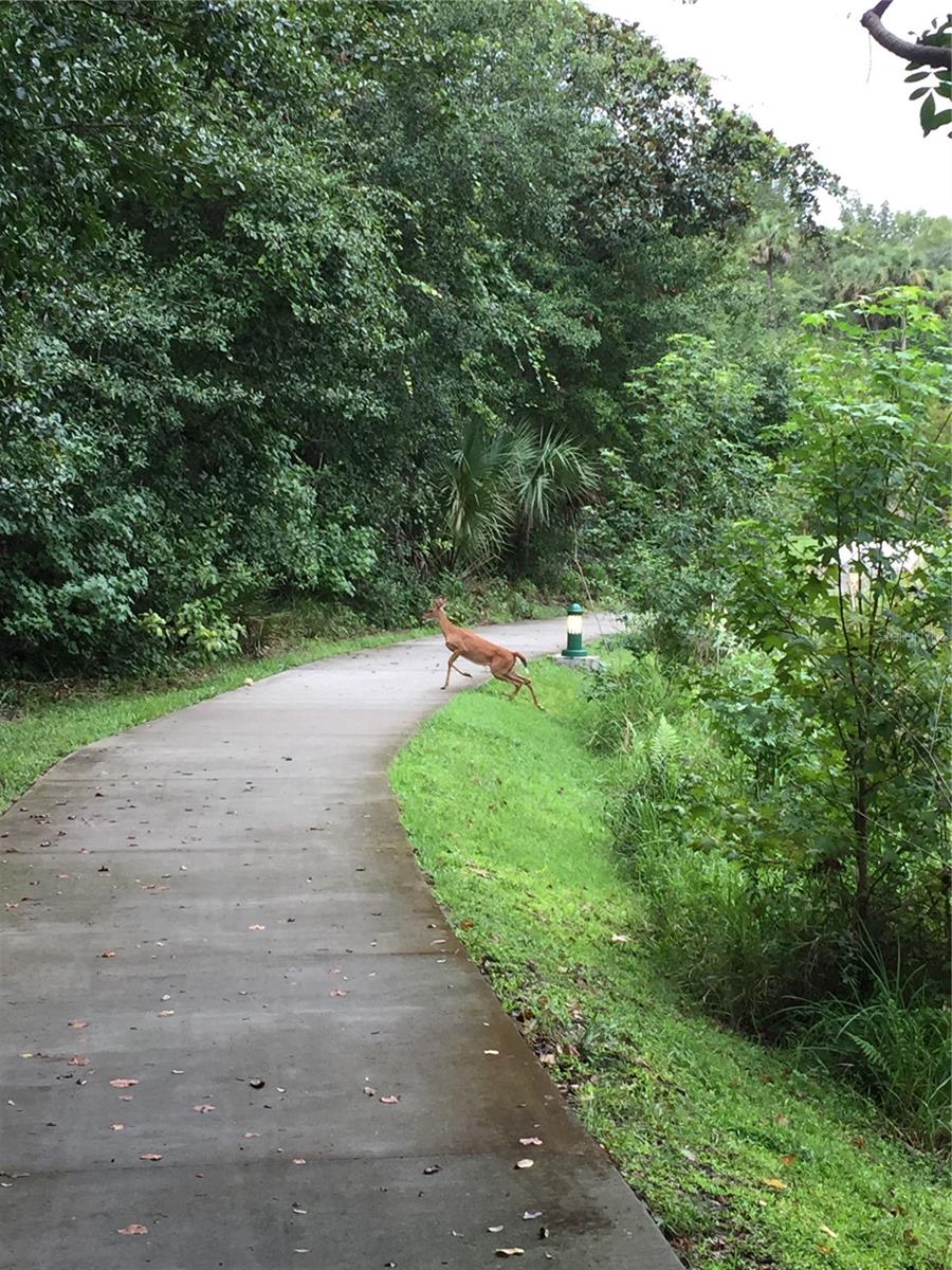 ARTISAN CLUB CONDO PH 2 - Residential