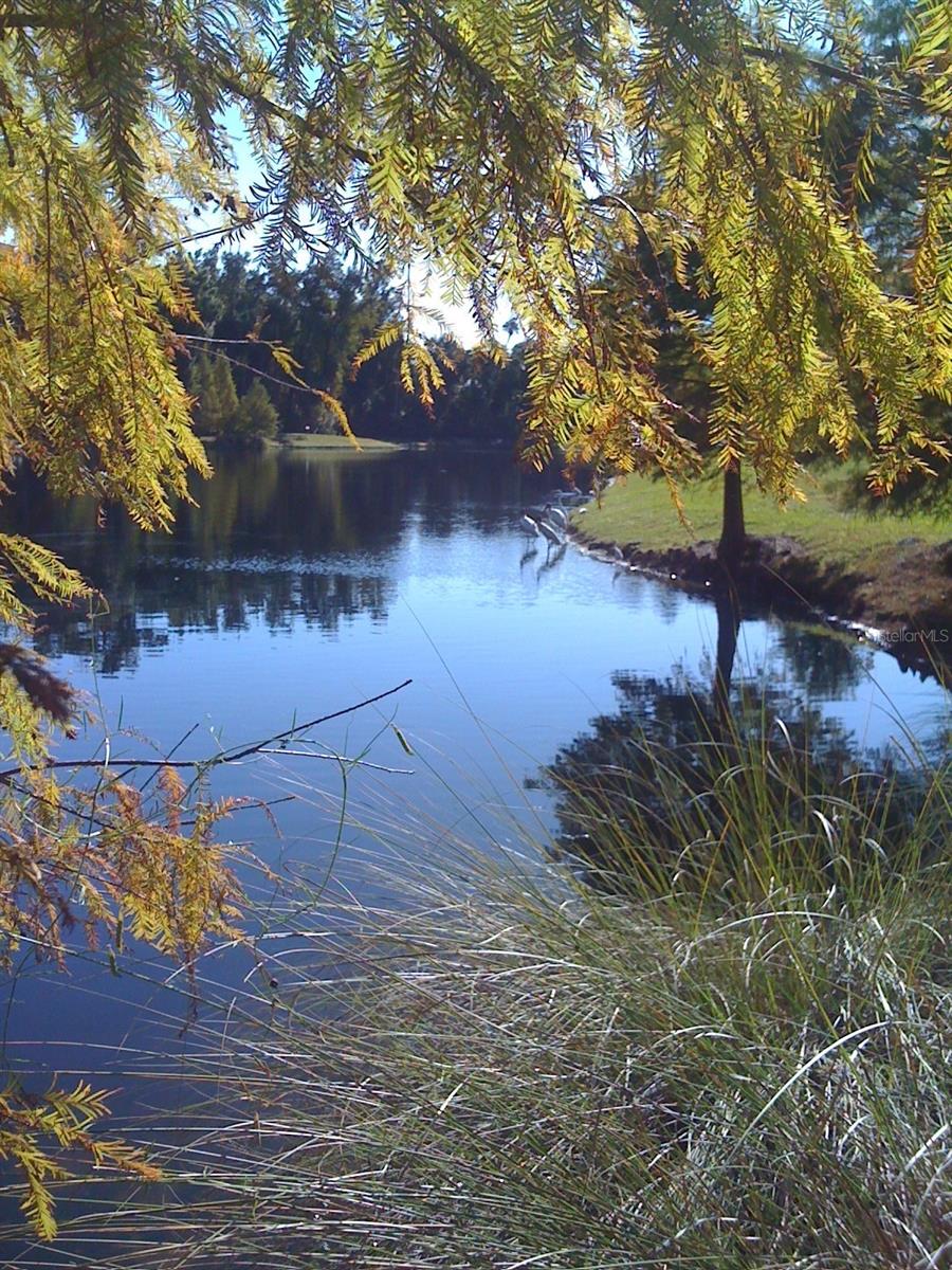 ARTISAN CLUB CONDO PH 2 - Residential