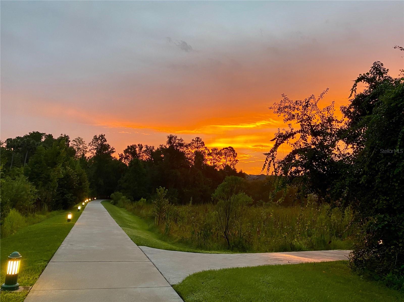 ARTISAN CLUB CONDO PH 2 - Residential