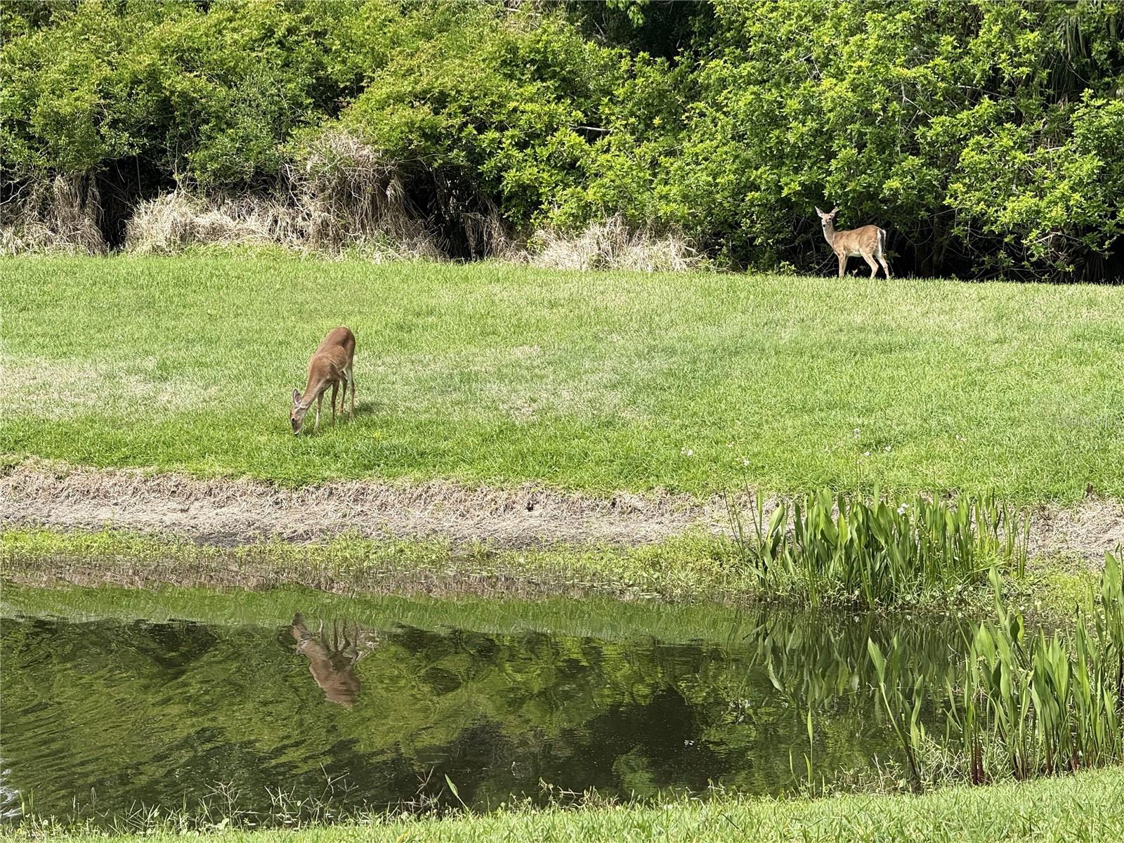 TIDELANDS CONDOS - Residential