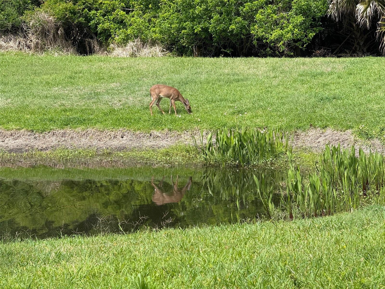 TIDELANDS CONDOS - Residential