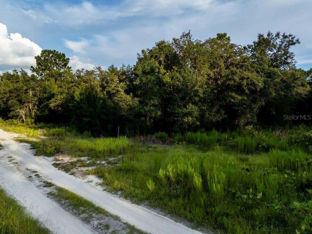 Photo of Tbd NE 50th Lane, Williston, FL 32696 (MLS # OM730633)