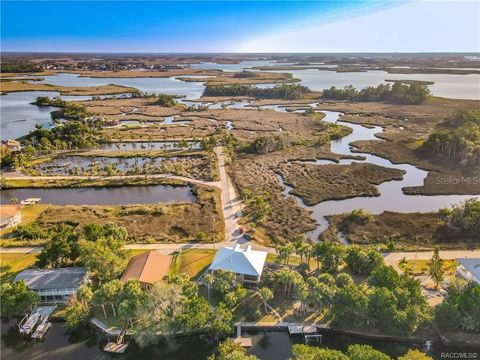 Tiny photo for 12123 W Bald Eagle Court, Crystal River, FL 34429 (MLS # G5105653)