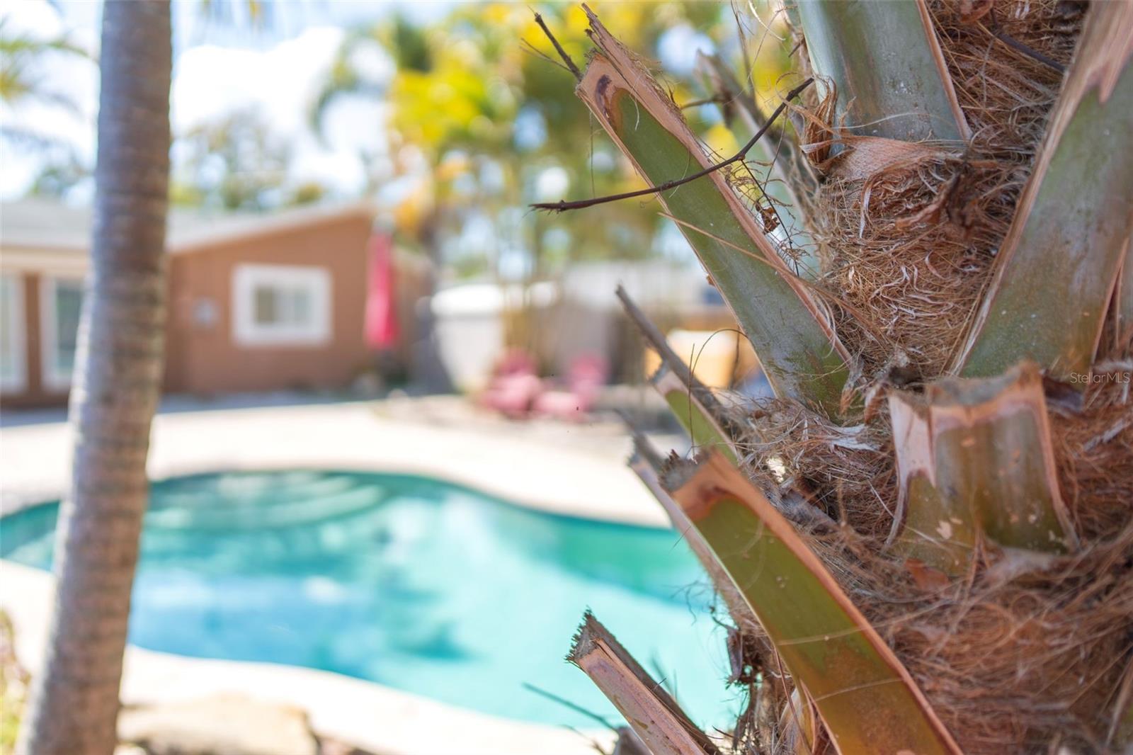 NORTH ST PETERSBURG - Residential