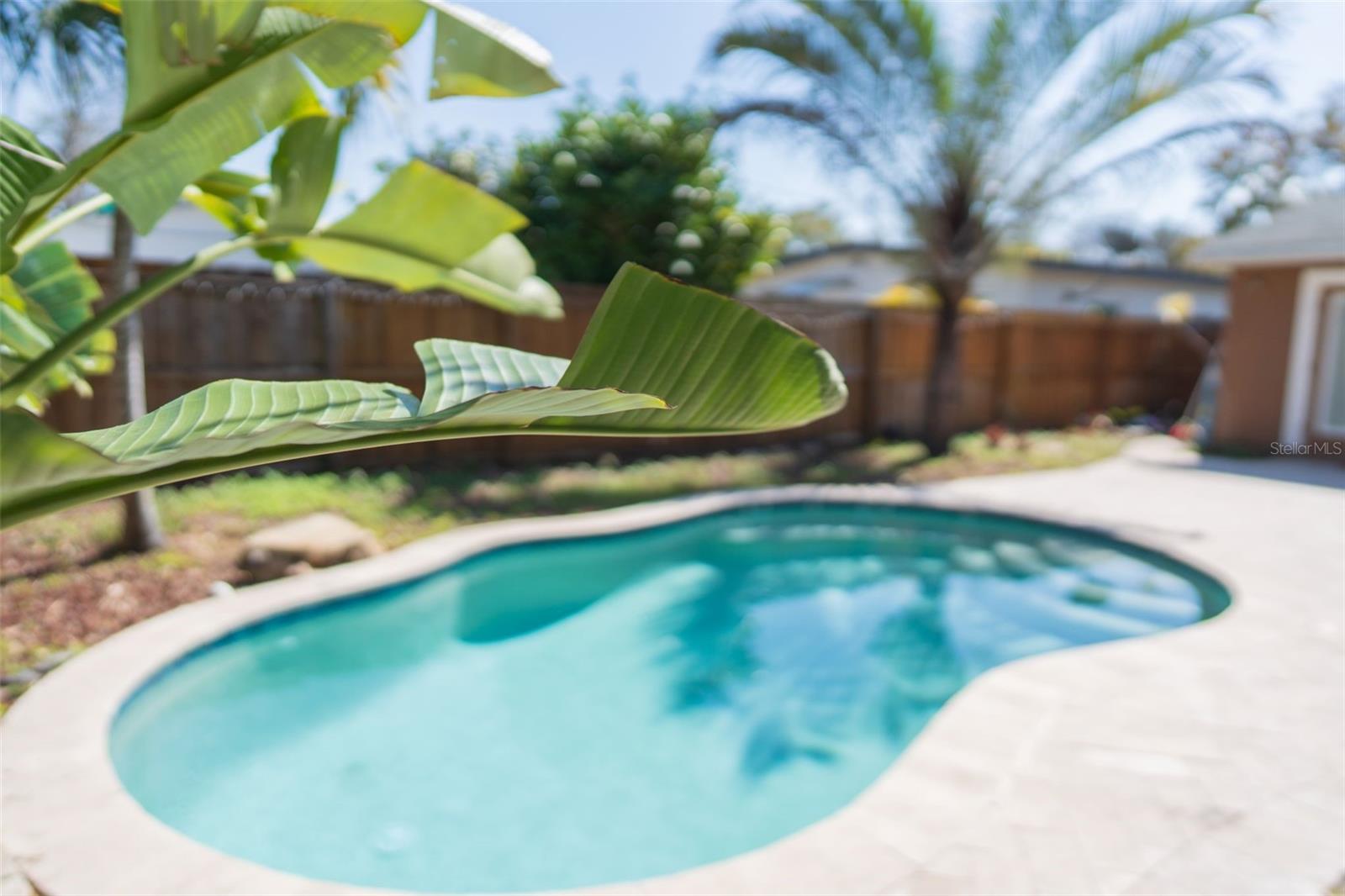 NORTH ST PETERSBURG - Residential