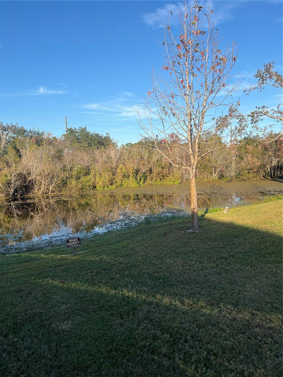 PLANTATION ESTATES UNIT 31 - Residential Lease