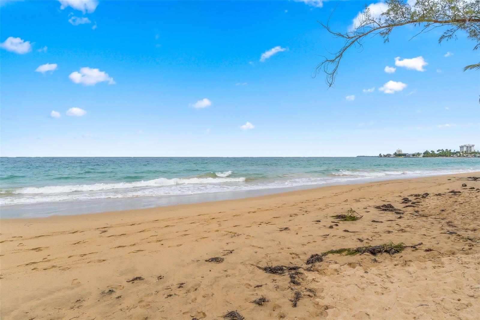 OCEAN PARK - Residential Income