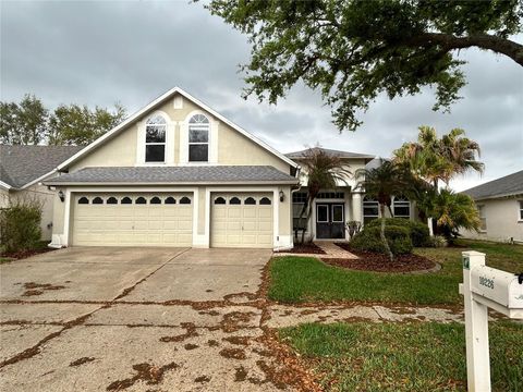 10226 TIMBERLAND POINT DRIVE TAMPA FL 33647