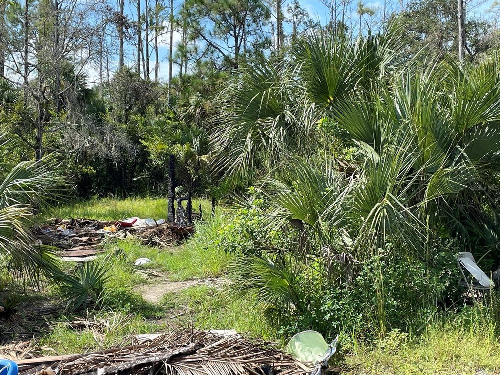 Photo of 1823 Inspiration Court, Lehigh Acres, FL 33972 (MLS # TB8474002)