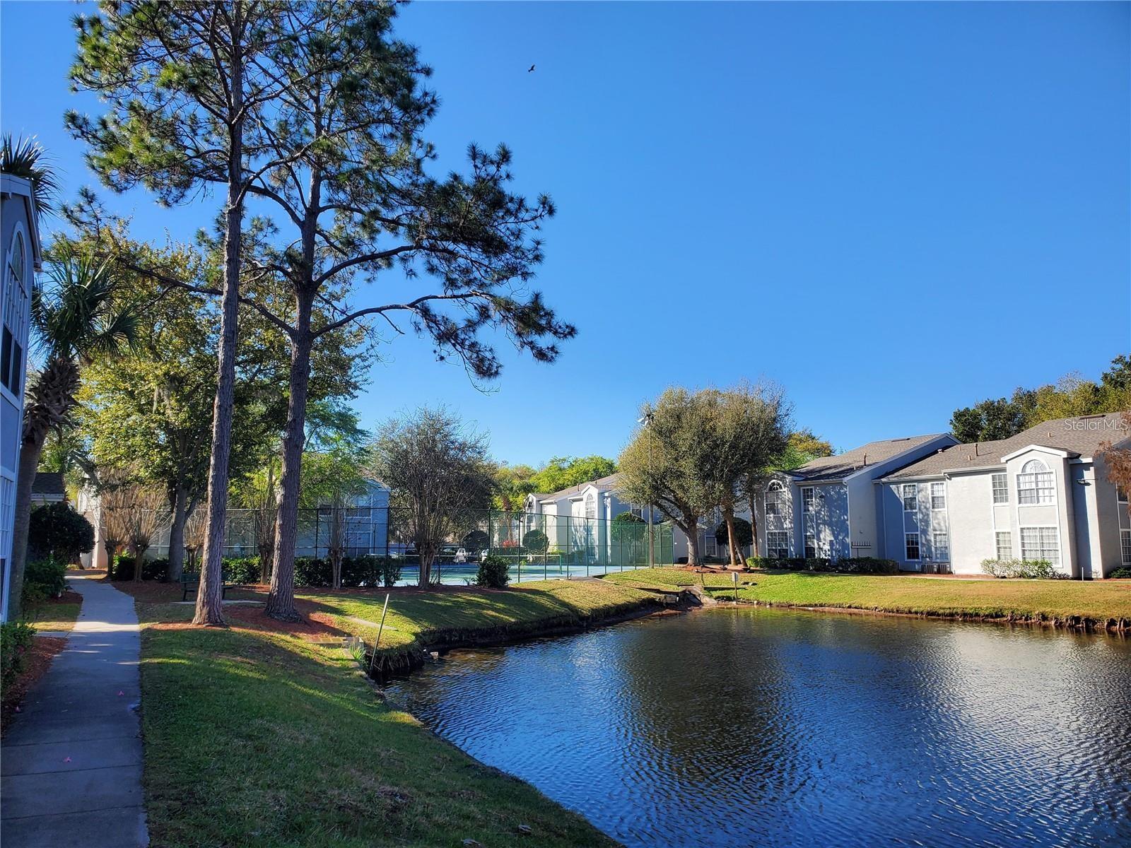 COLUMBIA ARMS CONDO - Residential Lease