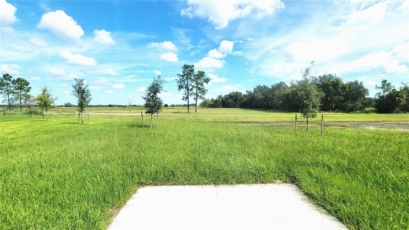 ASTONIA NORTH - Residential Lease