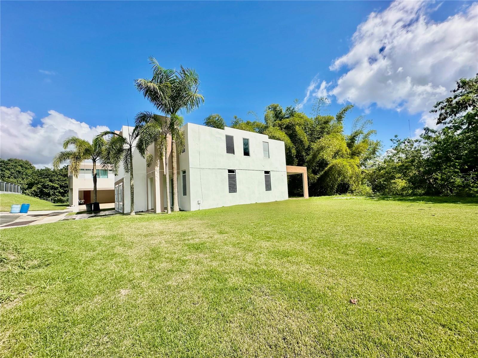 Cerro Ceiba, Esperanza 19 CERRO CEIBA, ESPERANZA 19