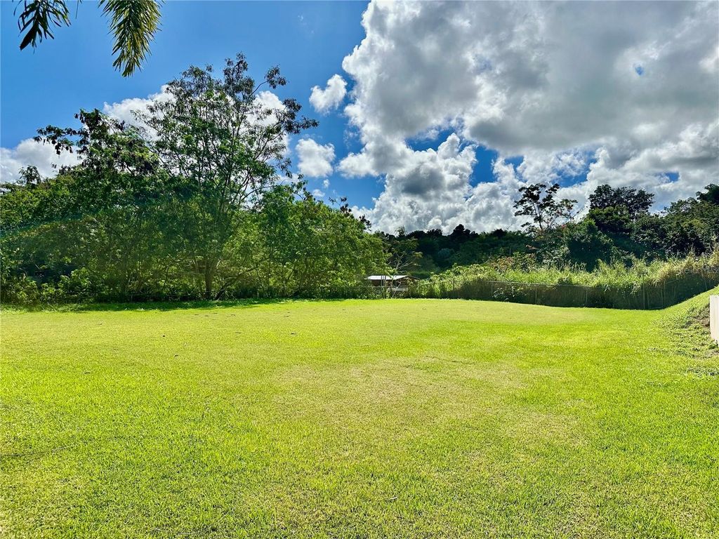 Photo of 19 Cerro Ceiba, Esperanza 19, Juncos, PR 00777 (MLS # PR9119169)