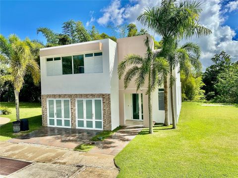 Cerro Ceiba, Esperanza 19 CERRO CEIBA, ESPERANZA 19 JUNCOS  00777