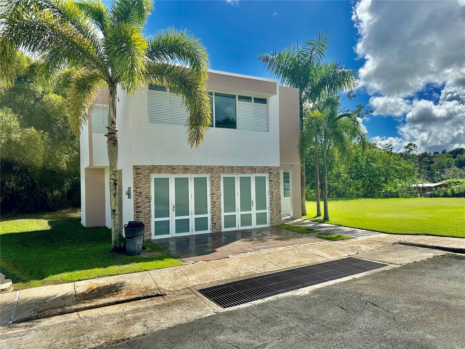 Cerro Ceiba, Esperanza 19 CERRO CEIBA, ESPERANZA 19