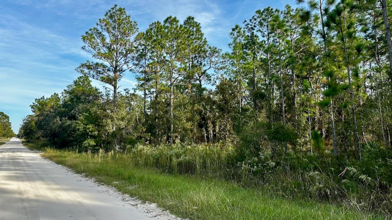 Auction Property. LIST PRICE IS FOR MLS PURPOSES ONLY. ACTUAL PRICE WILL BE DETERMINED AT AUCTION. ONLINE AUCTION ENDS NOV. 19 AT 11 AM ET. This nearly 1 acre vacant residential homesite will sell regardless of price! Conveniently located in Rolling Hills, an established, rural subdivision in unincorporated Marion County between Ocala and Dunnellon, the homesite offers the best of both worlds—peaceful surroundings with quick access to shopping, dining, medical care, recreation, and major highways. The .92± acre property features established hardwood trees, relatively flat topography and access from the front of the lot and the rear offering the perfect setup for a garage/workshop in the back. There are no HOA restrictions—design your property your way. The lot is a spacious 160± ft x 250± ft and is not in a flood zone (X). Just off scenic 140th Ave for easy access to SR 40 or Hwy 484. Located 10± min to SR 200 (Walmart, Chili’s, AdventHealth, and much more), 15± min to World Equestrian Center, 30± min to Downtown Ocala and 40± min to Gulf of America. Property #: DG1713. Bid Online November 12 - 19. 10% Buyer's Premium. Subject to the final bid at the online auction and auction terms.