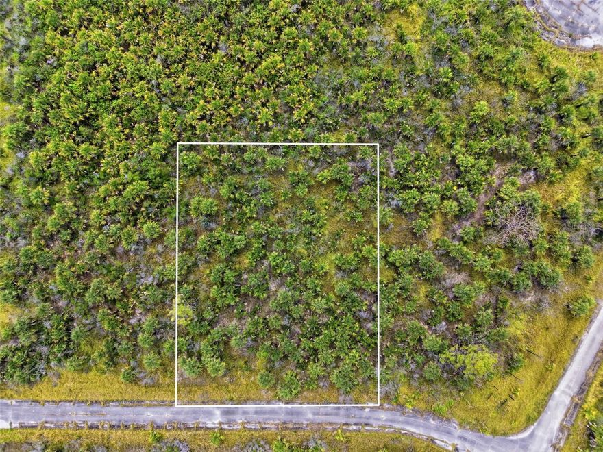 Excellent opportunity to own a residential lot in the growing Port Malabar area of Palm Bay, FL on Flameflower Ter. This homesite is ideal for a future custom home or investment property, with nearby new construction and established neighborhoods adding to the area’s appeal. Conveniently located near shopping, dining, schools, parks, and major roadways for easy access throughout the Space Coast. The adjacent lot is also available, offering additional possibilities for expanded space or future development. Secure your piece of Palm Bay’s continued growth today.