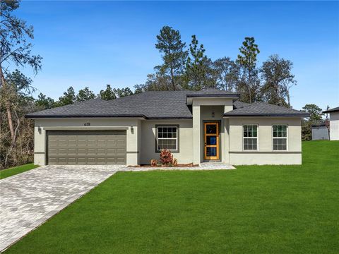 Photo of 6311 SW 153rd Lane, Ocala, FL 34473 (MLS # O6383462)