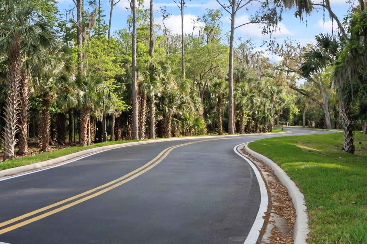 CANOPY WALK PH 1 - Residential Lease