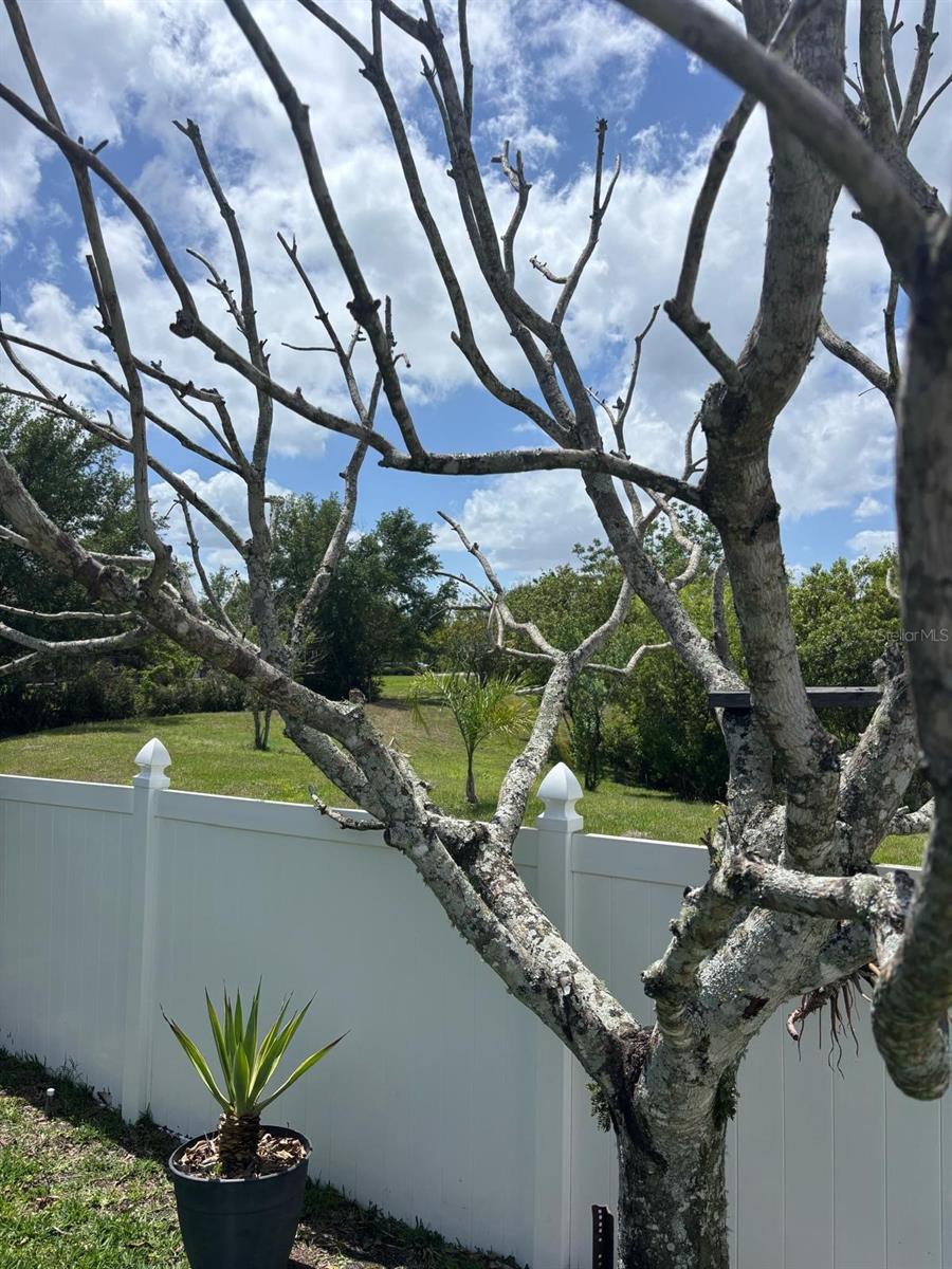 BELLA VIDA - Residential