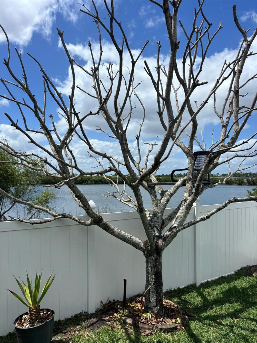 BELLA VIDA - Residential