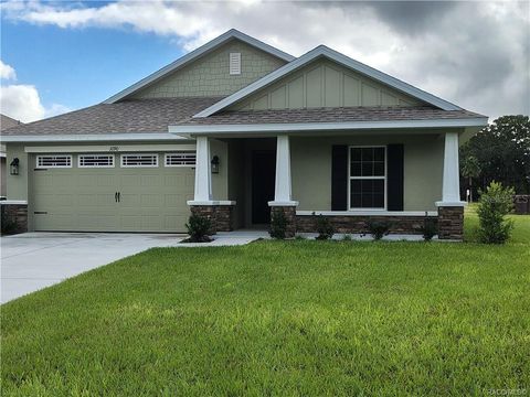 423 WOOD STORK TRAIL INVERNESS FL 34453