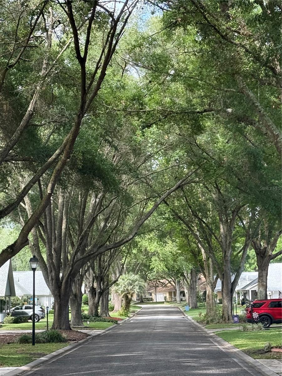 CIRCLE SQUARE WOODS - Residential