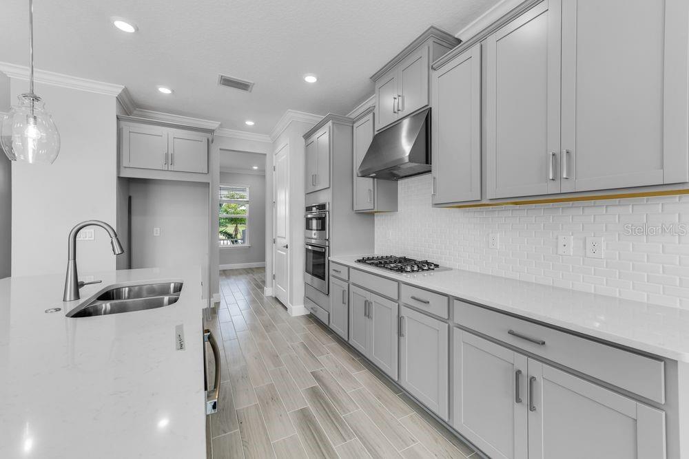 CASSIA AT SKYE RANCH - Residential