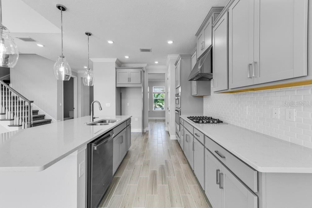 CASSIA AT SKYE RANCH - Residential