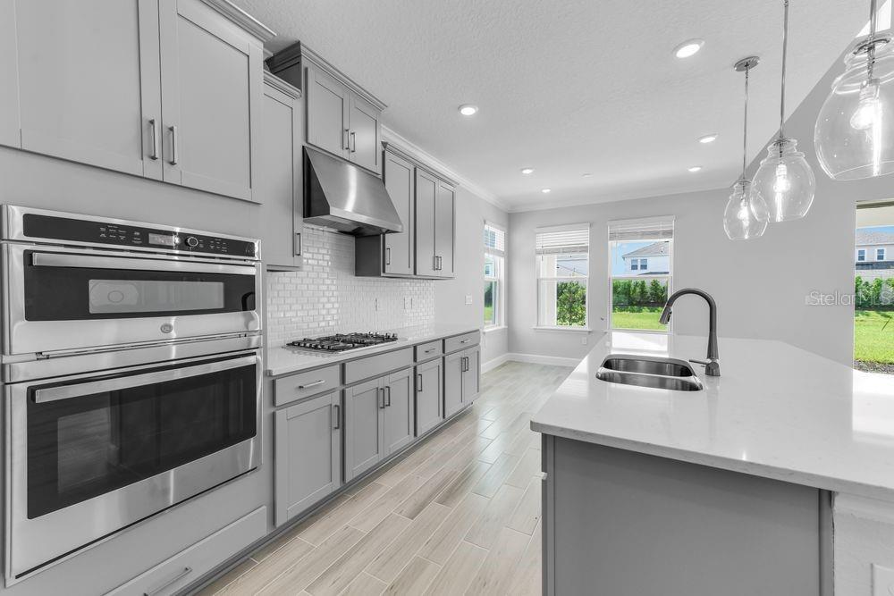 CASSIA AT SKYE RANCH - Residential