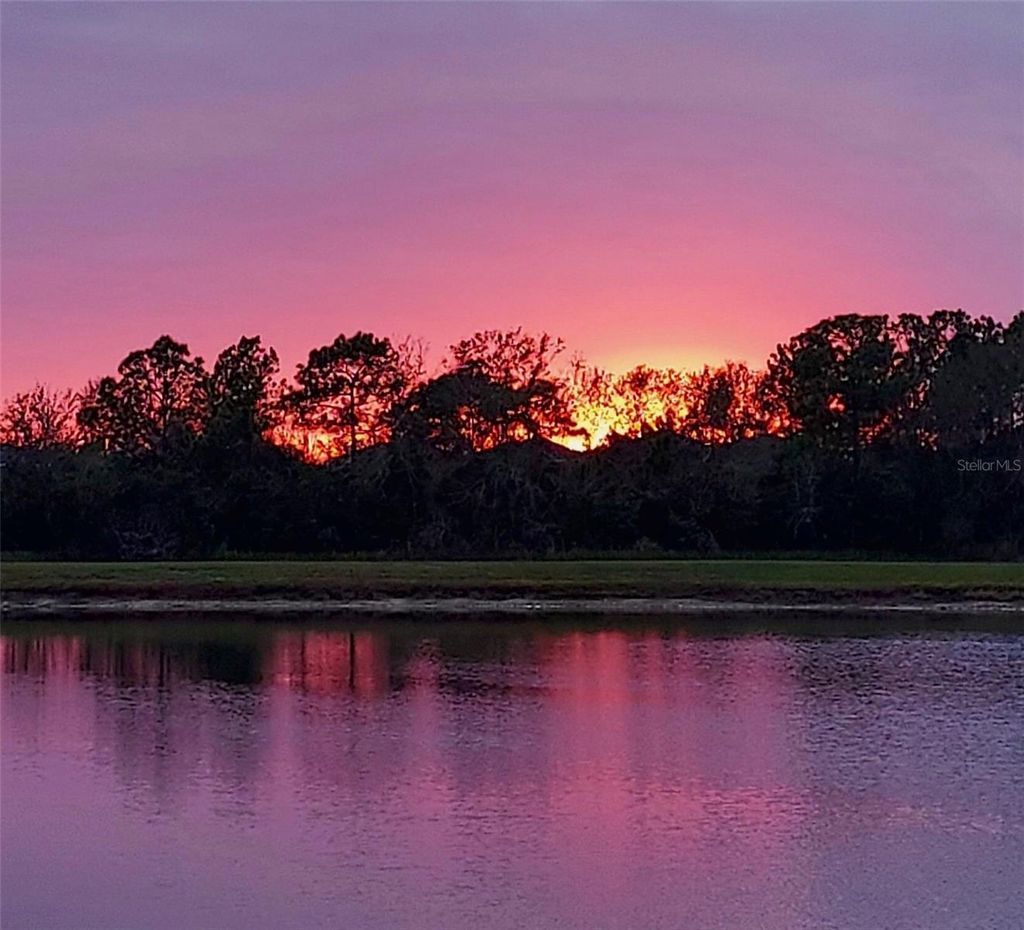 Photo of 9202 Everwood Court, Tampa, FL 33647 (MLS # TB8334753)