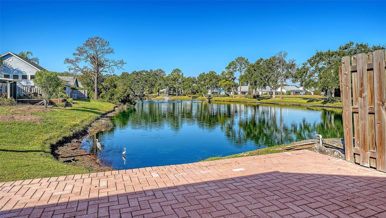 TREETOPS AT NORTH 40 - ONTARIO - Residential