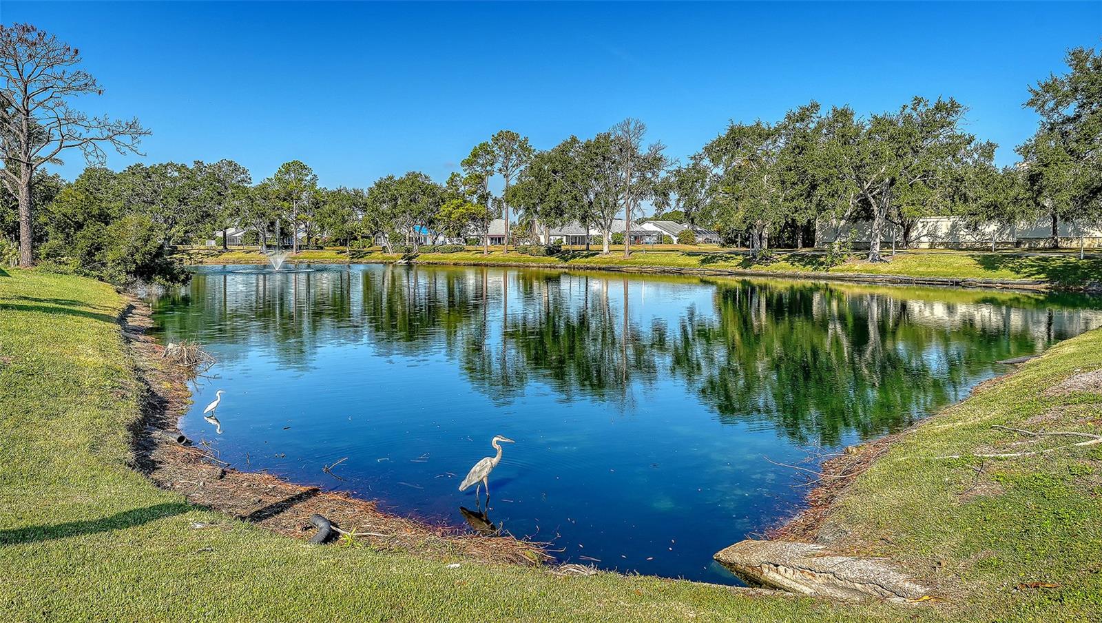 TREETOPS AT NORTH 40 - ONTARIO - Residential
