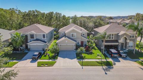 A home in LAND O LAKES