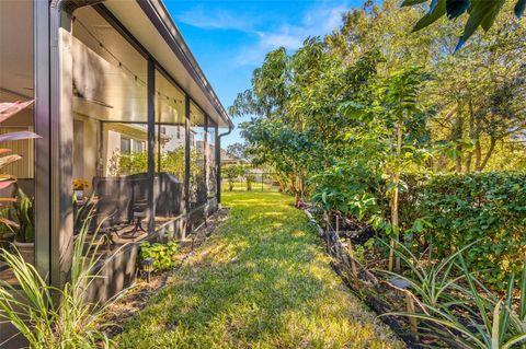 A home in LAND O LAKES