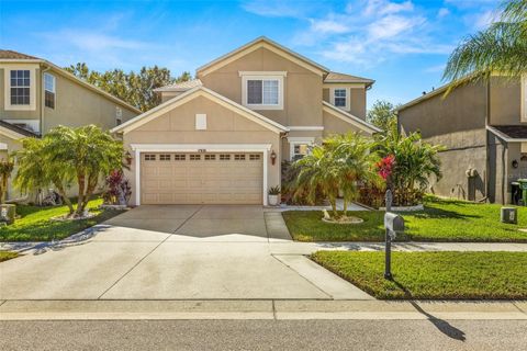 A home in LAND O LAKES