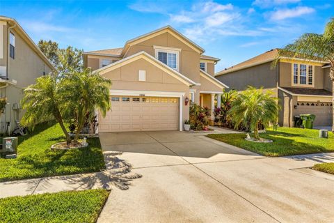 A home in LAND O LAKES