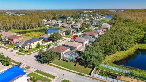 A home in LAND O LAKES