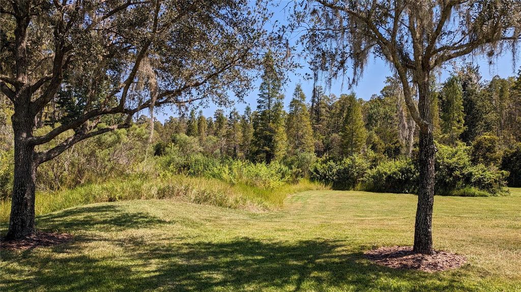 Photo of 19251 Stone Hedge Drive, Tampa, FL 33647 (MLS # TB8474128)