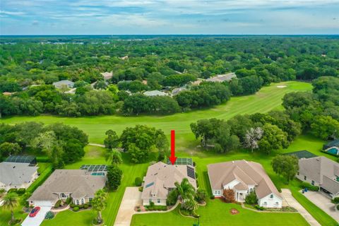 A home in ORMOND BEACH