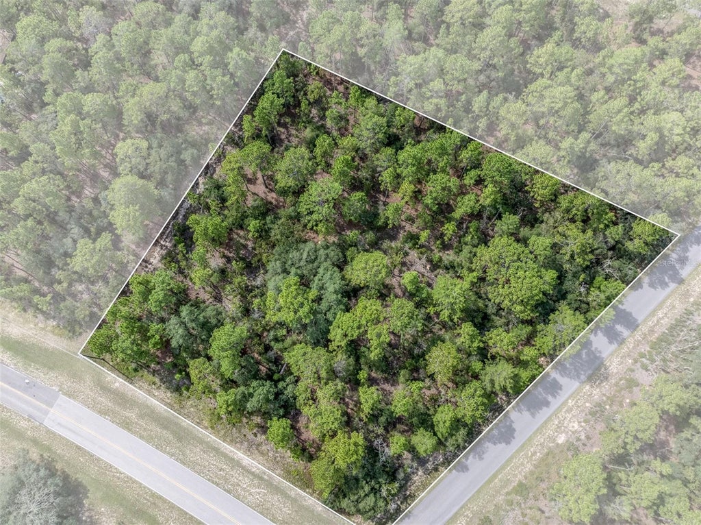 Photo of 7293 N Windbrook Drive, Citrus Springs, FL 34433 (MLS # TB8544340)