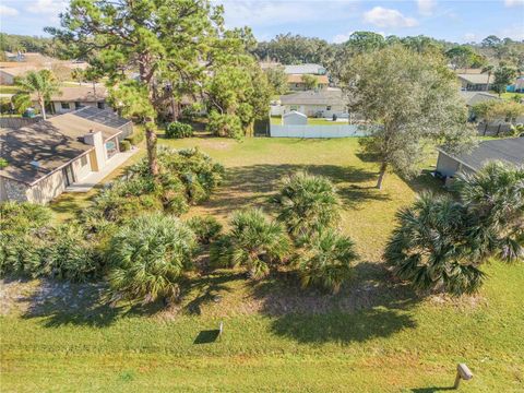ROYAL PALM DRIVE EDGEWATER FL 32141