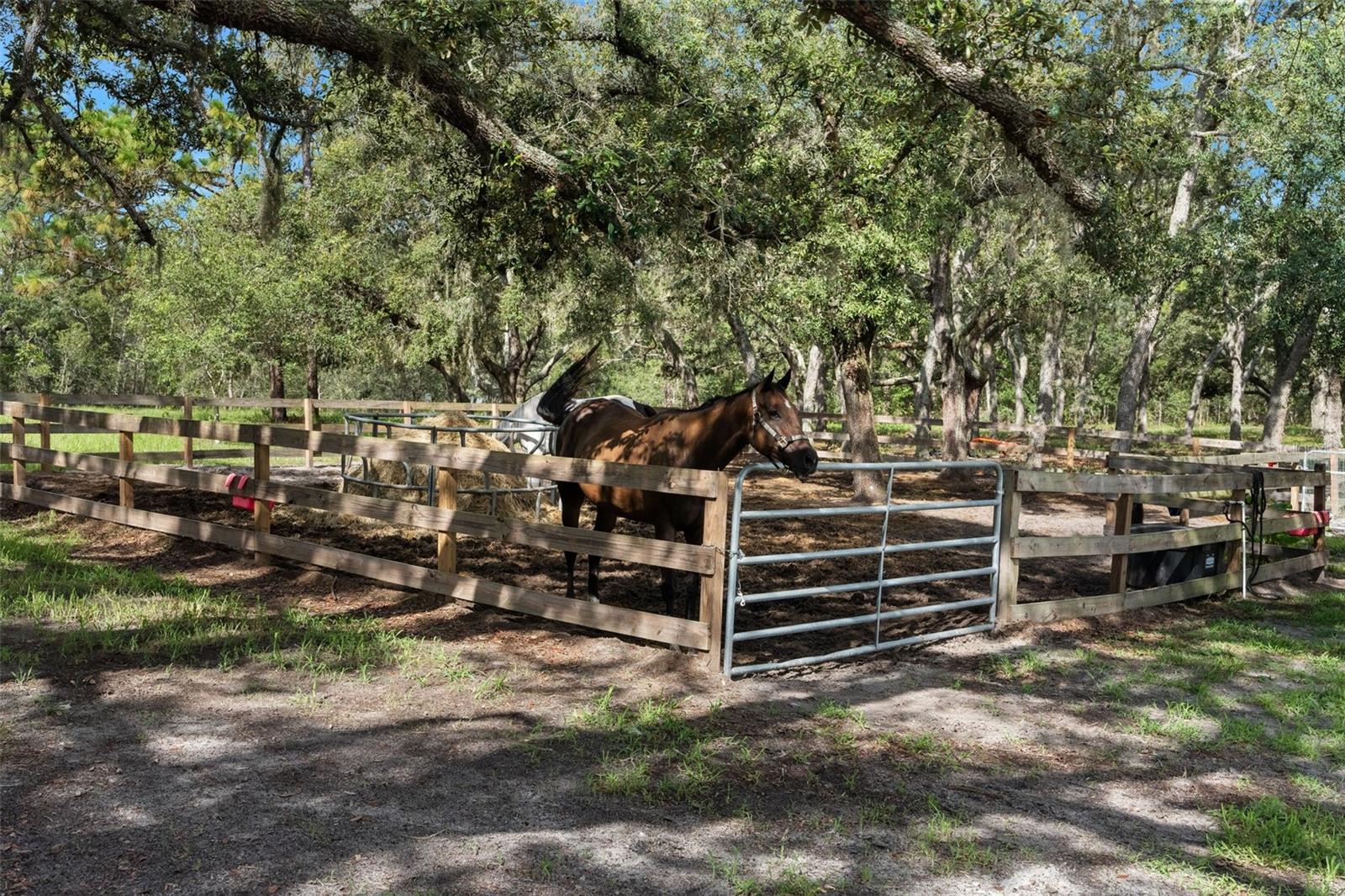 BELLA TERRA - Residential